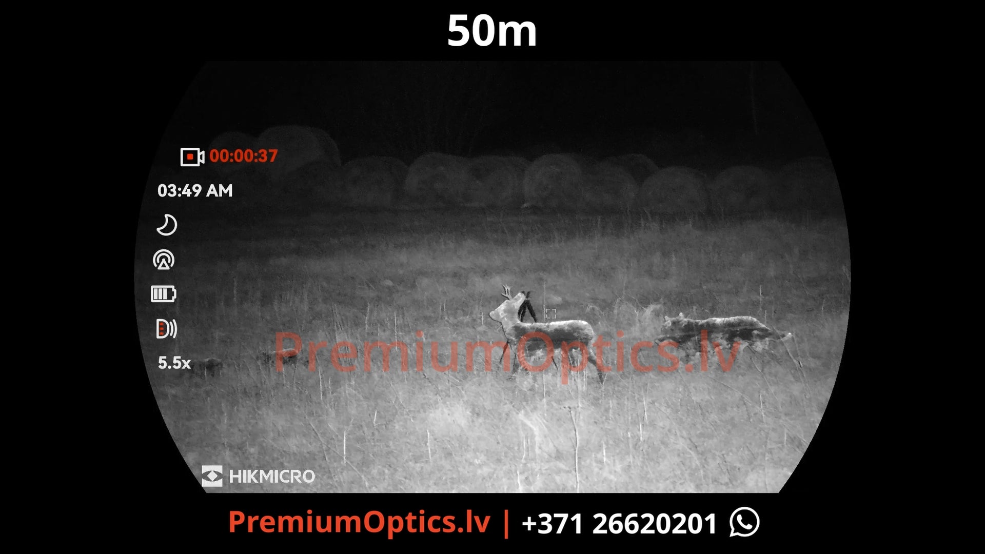 Hikmicro Habrok 4k 2.0 multispektrālais binoklis tests 50 metros – attēla kvalitāte naktī ar orģinālo piegaismotāju buka ragi (1x palielinājums)