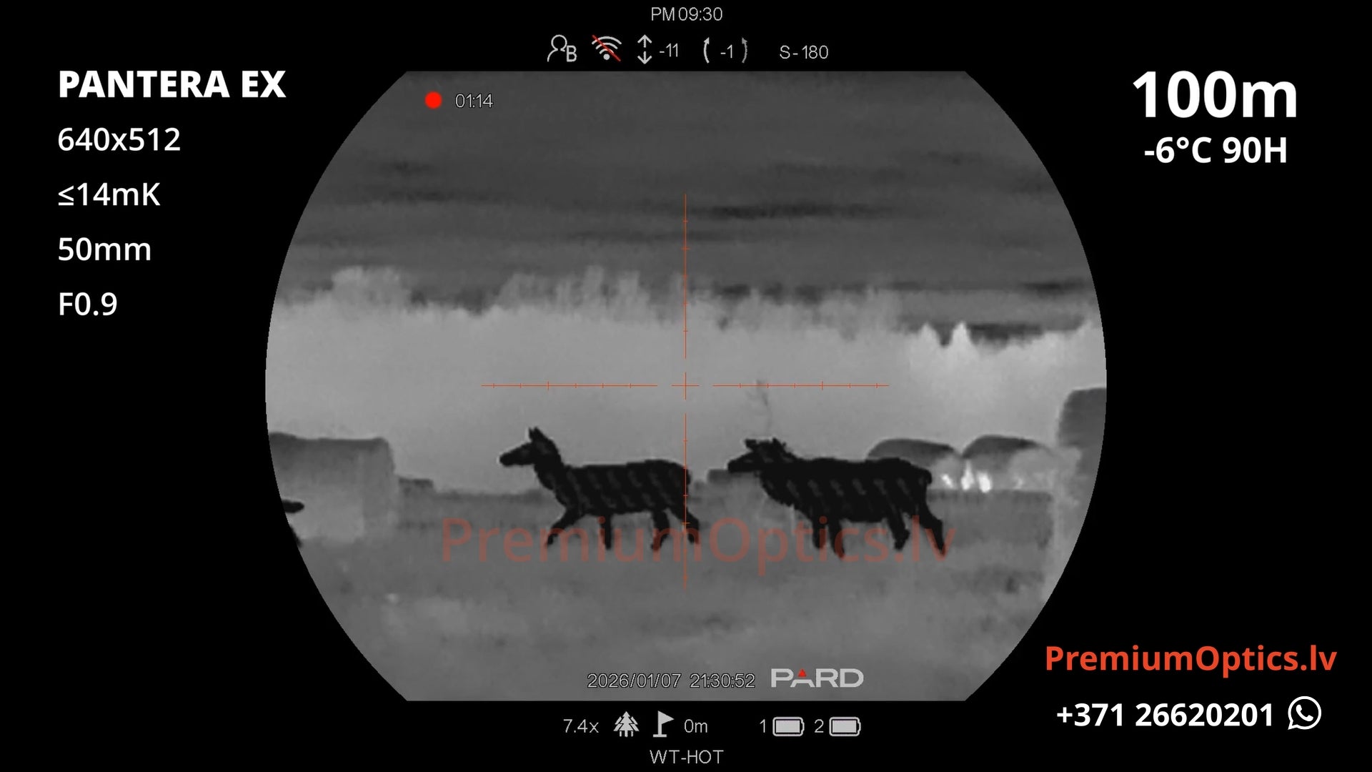 Pard Pantera EX termotēmēkļa tests 100 metros – attēla kvalitāte medību situācijā (2x palielinājums)