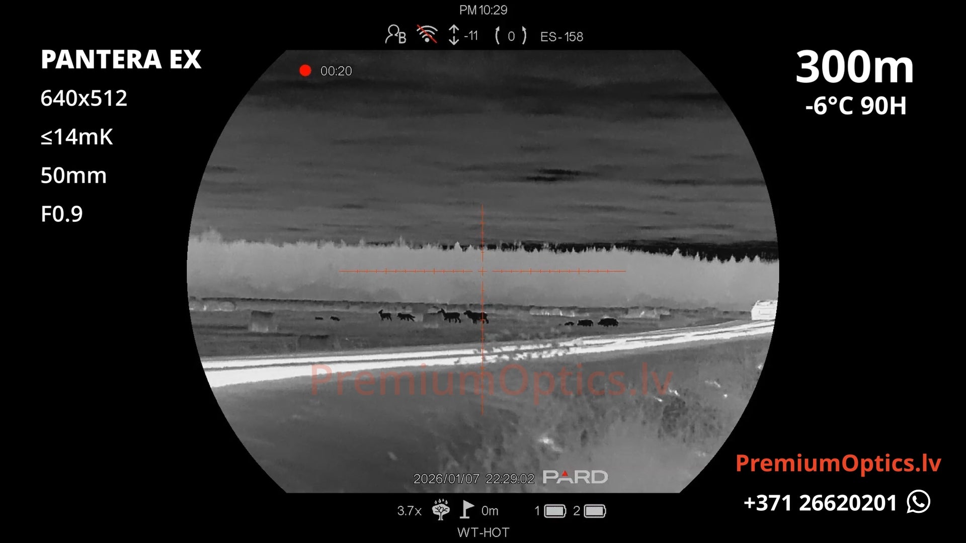 Pard Pantera EX termotēmēkļa tests 300 metros – attēla kvalitāte medību situācijā (1x palielinājums)