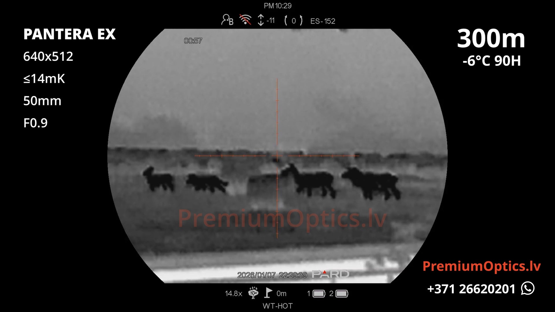 Pard Pantera EX termotēmēkļa tests 300 metros – attēla kvalitāte medību situācijā (3x palielinājums)