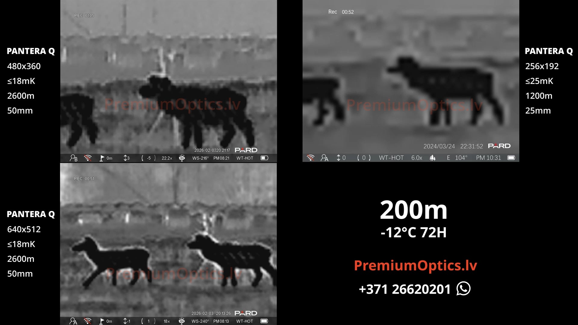 Pard Pantera Q termotēmēkļa tests 200 metros – termālā attēla detalizācija (4x palielinājums)