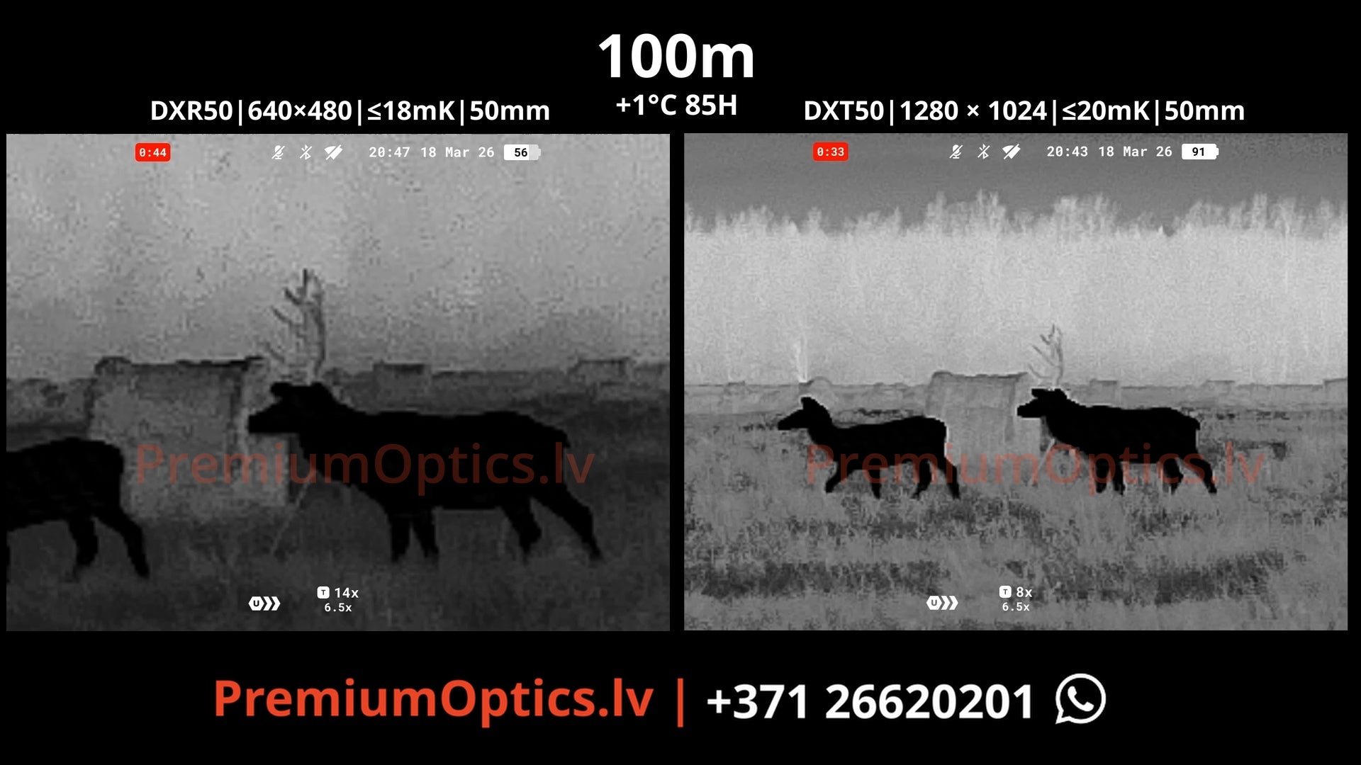 Pulsar Symbion tests termālās bildes kvalitāte miglas apstākļos 100 metros (2x palielinājums)