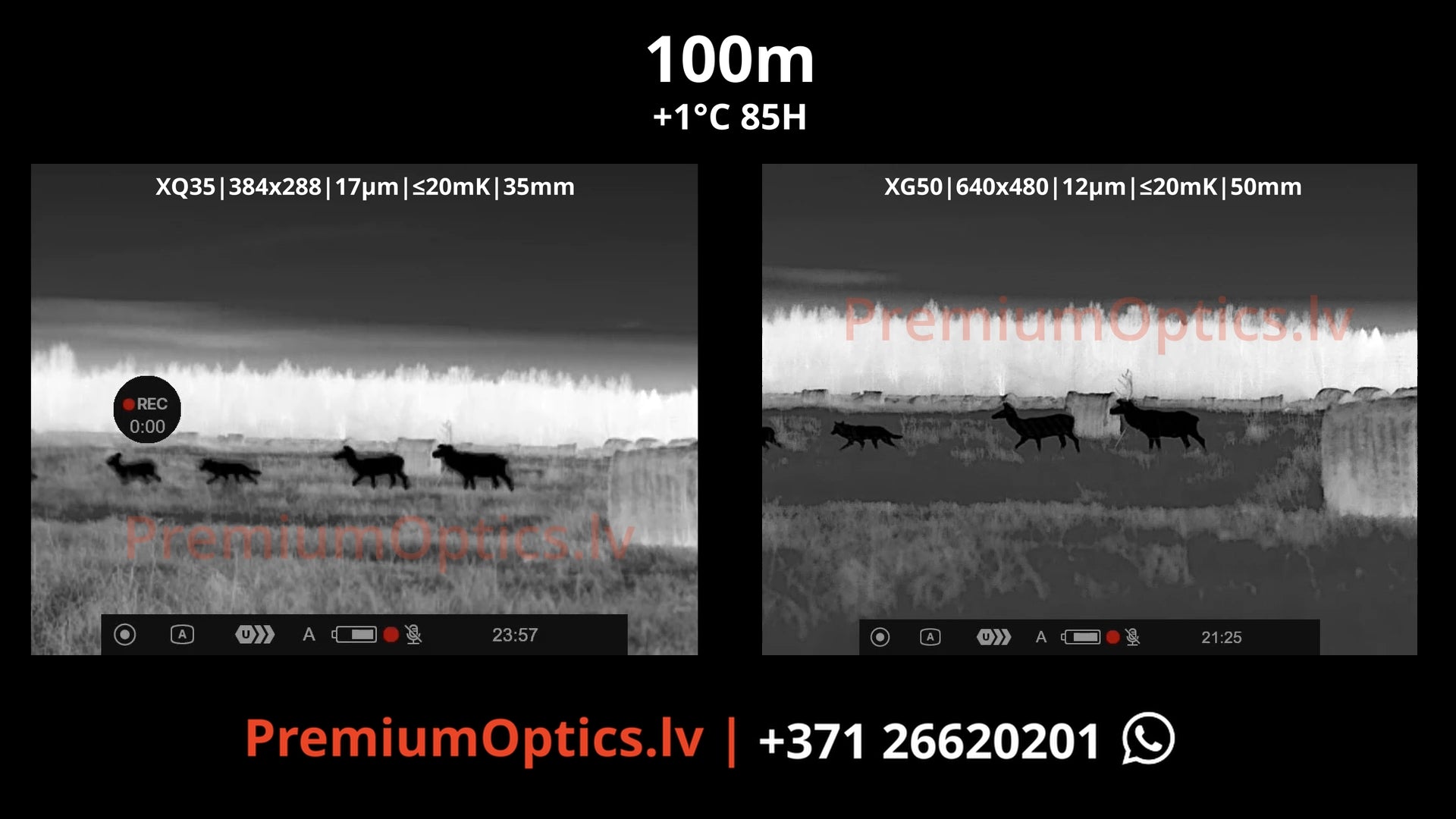 Pulsar Krypton XG50 vs XQ35 termālās uzlika tests miglas apstākļos 100 metros, brieža ragi