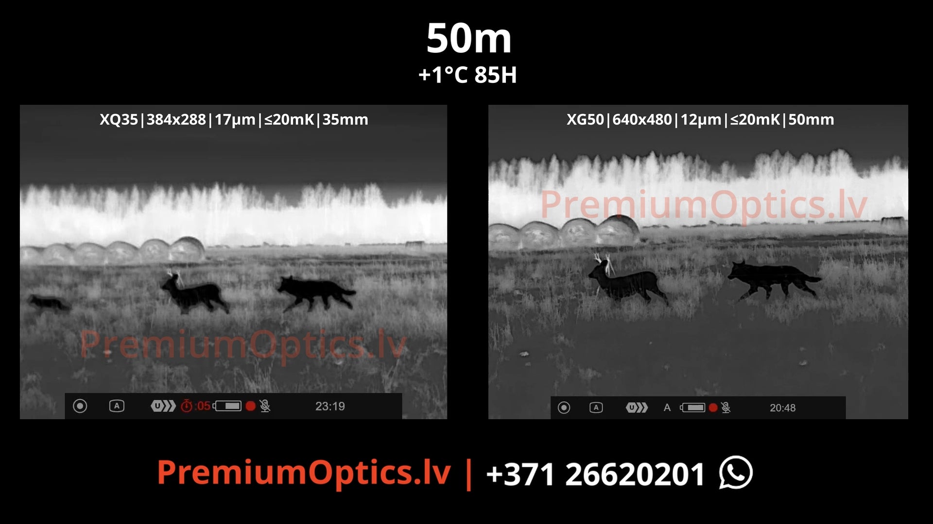 Pulsar Krypton XG50 vs XQ35 termālās uzlika tests miglas apstākļos 50 metros, buka ragi