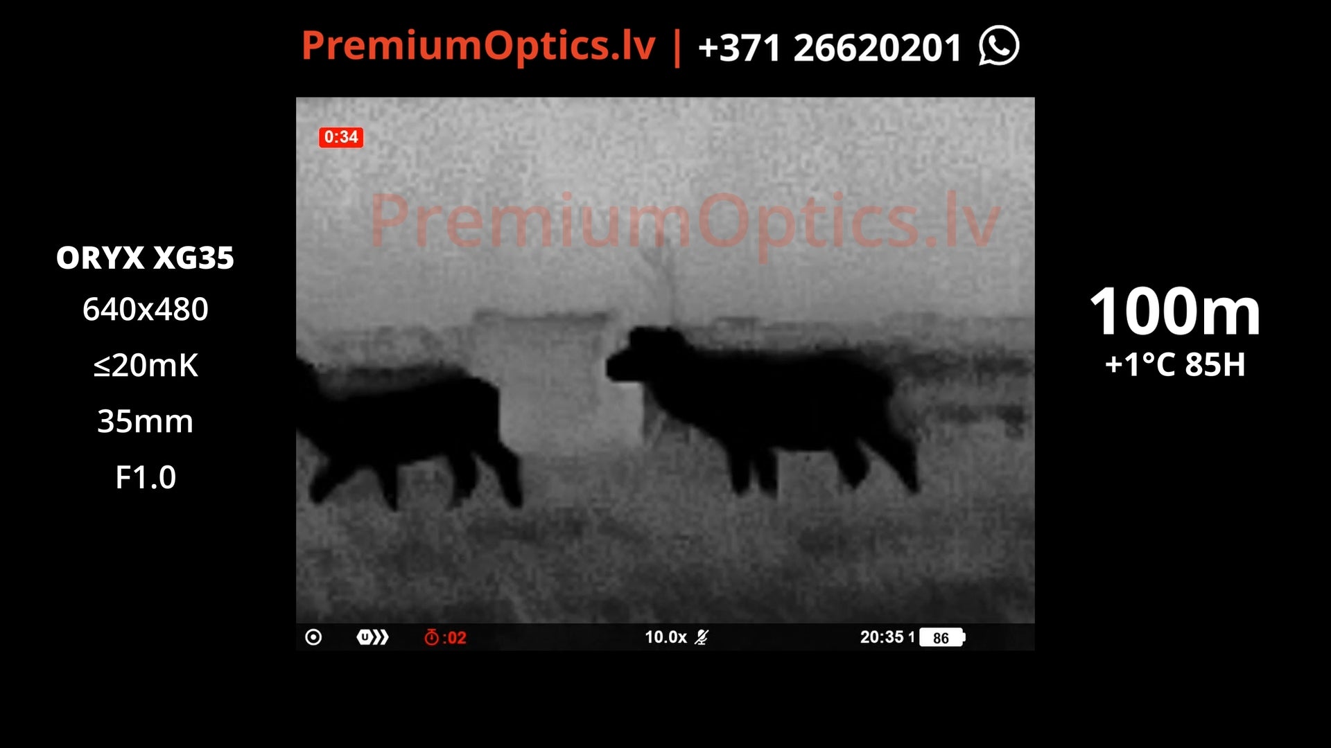 Vai ar Pulsar Oryx XG35 termokameru var redzēt brieža ragus miglā, lietū un sausos apstākļos 100m 2x palielinājums