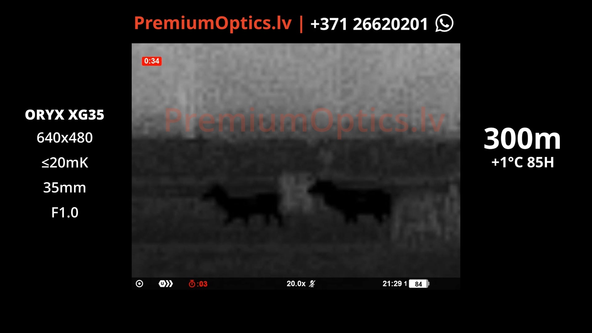 Vai ar Pulsar Oryx XG35 termokameru var redzēt brieža ragus miglā, lietū un sausos apstākļos 300m 2x palielinājums