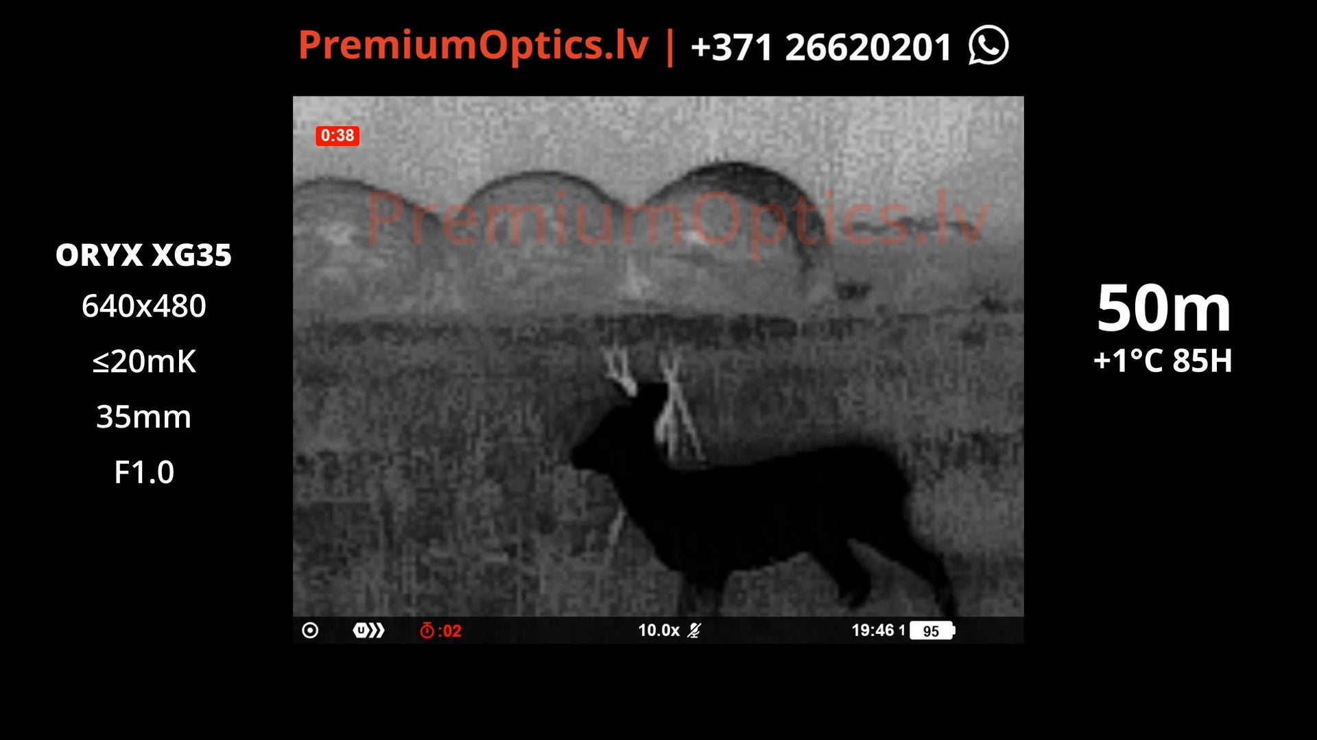 Vai ar Pulsar Oryx XG35 termokameru var redzēt buka ragus miglā, lietū un sausos apstākļos 50m