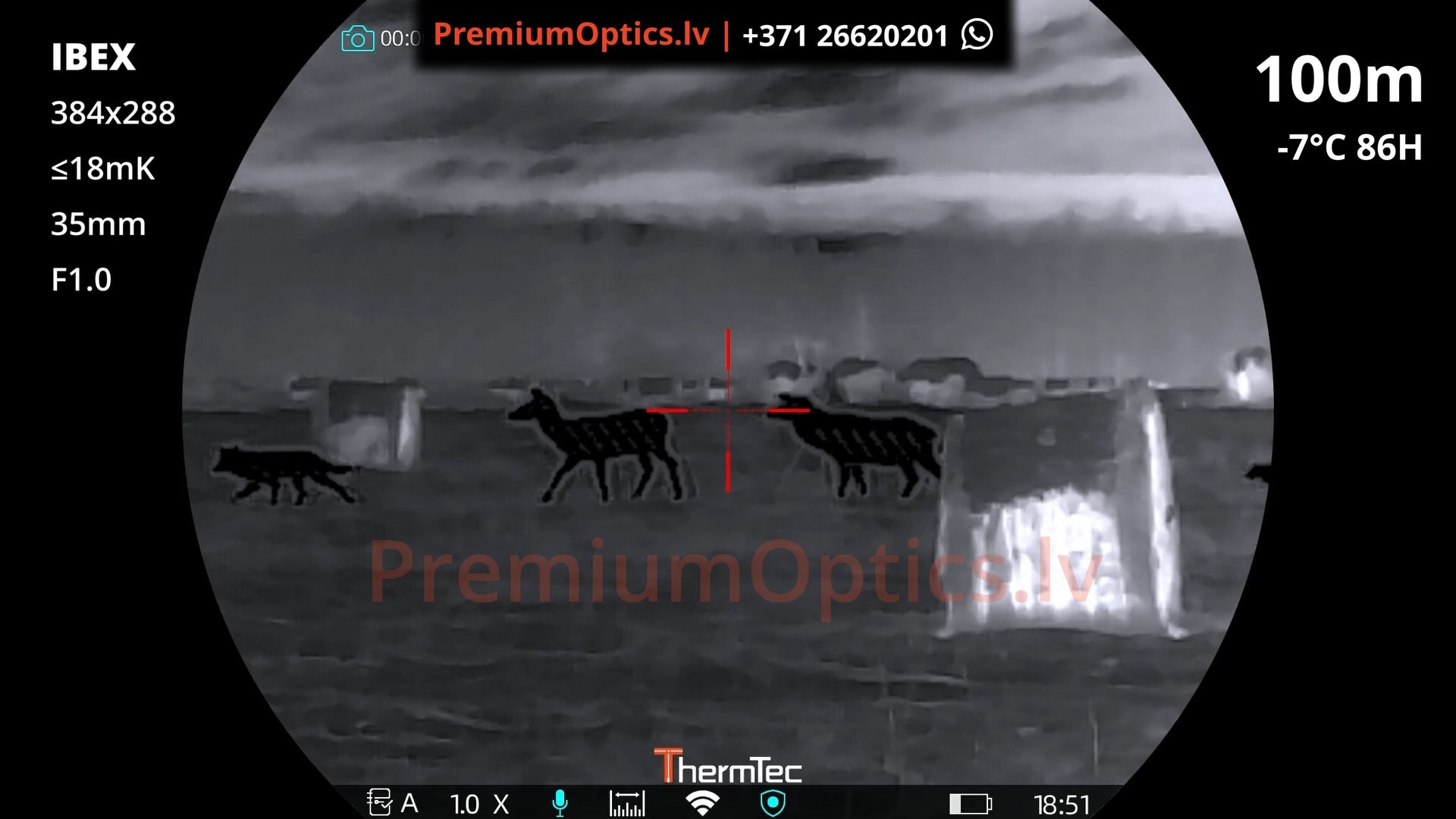ThermTec Ibex termotēmēkļa tests 100 metros – attēla kvalitāte medību situācijā (1x palielinājums)