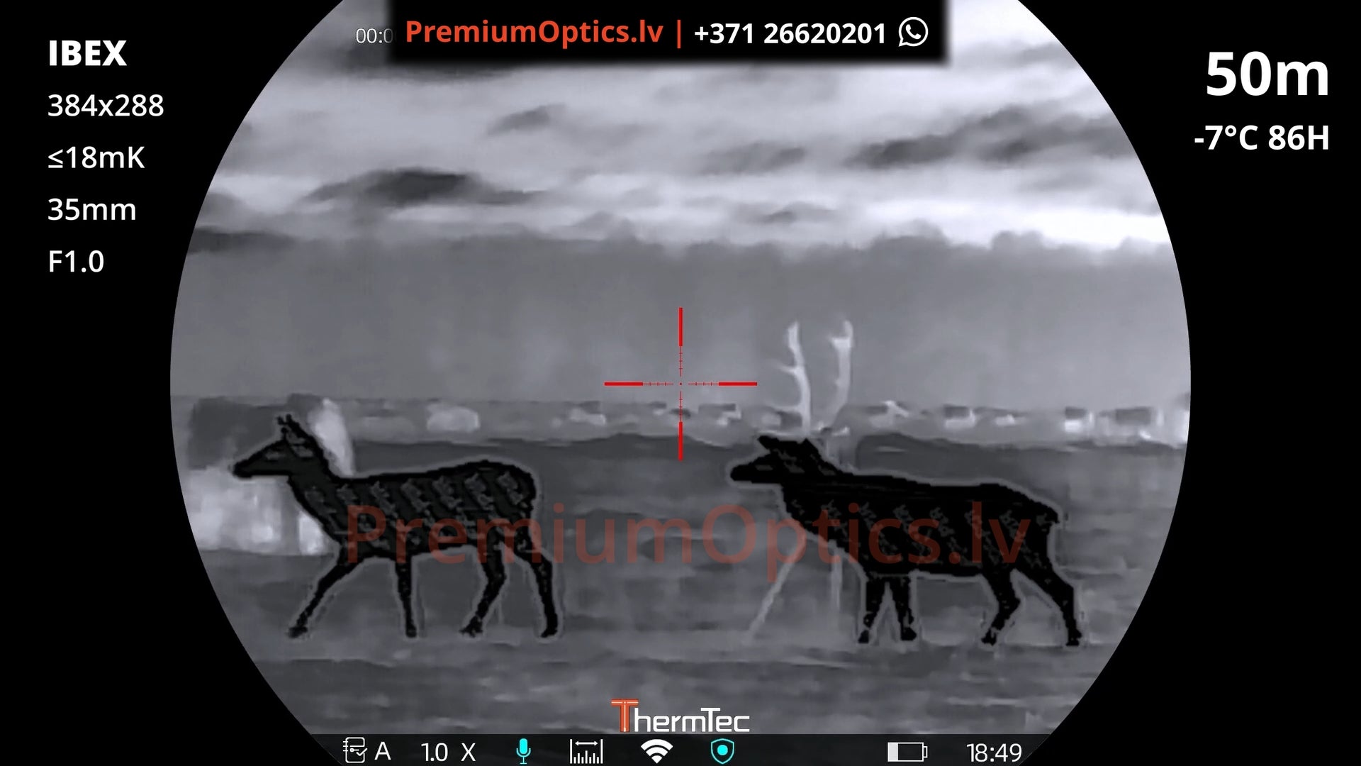 ThermTec Ibex termotēmēkļa tests 50 metros – attēla kvalitāte medību situācijā (1x palielinājums)